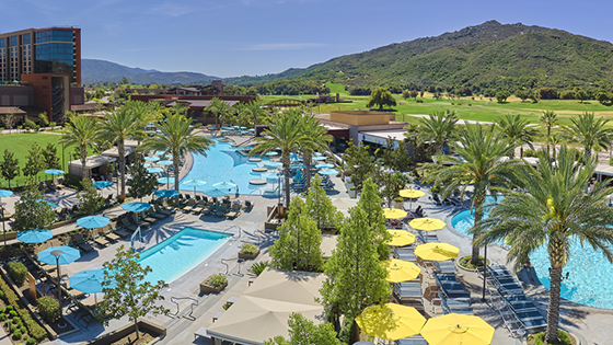 The Cove is Open!