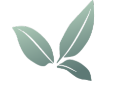 Spa Pechanga leaf icon for wellness and relaxation